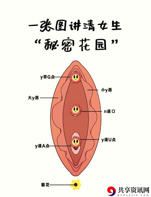  探索园艺乐趣：揉小花园的基础手法教学图解