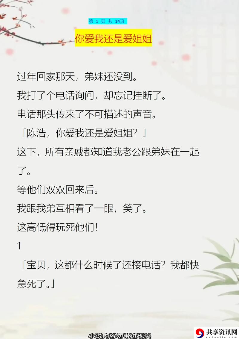 姐姐可以吗免费阅读小说，观众：