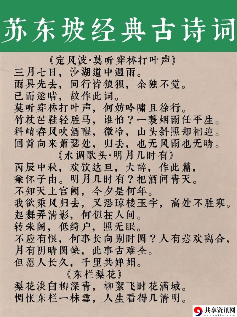 苏家有女1v5一蓑烟雨，平台：大漠星辰