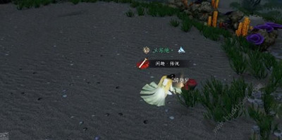 苍龙之眼奇遇完成方法介绍 游戏内排行榜竞争与提升