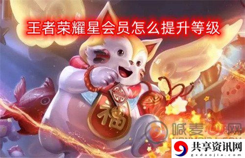 王者荣耀星会员怎么提升等级 王者荣耀星会员提升等级攻略