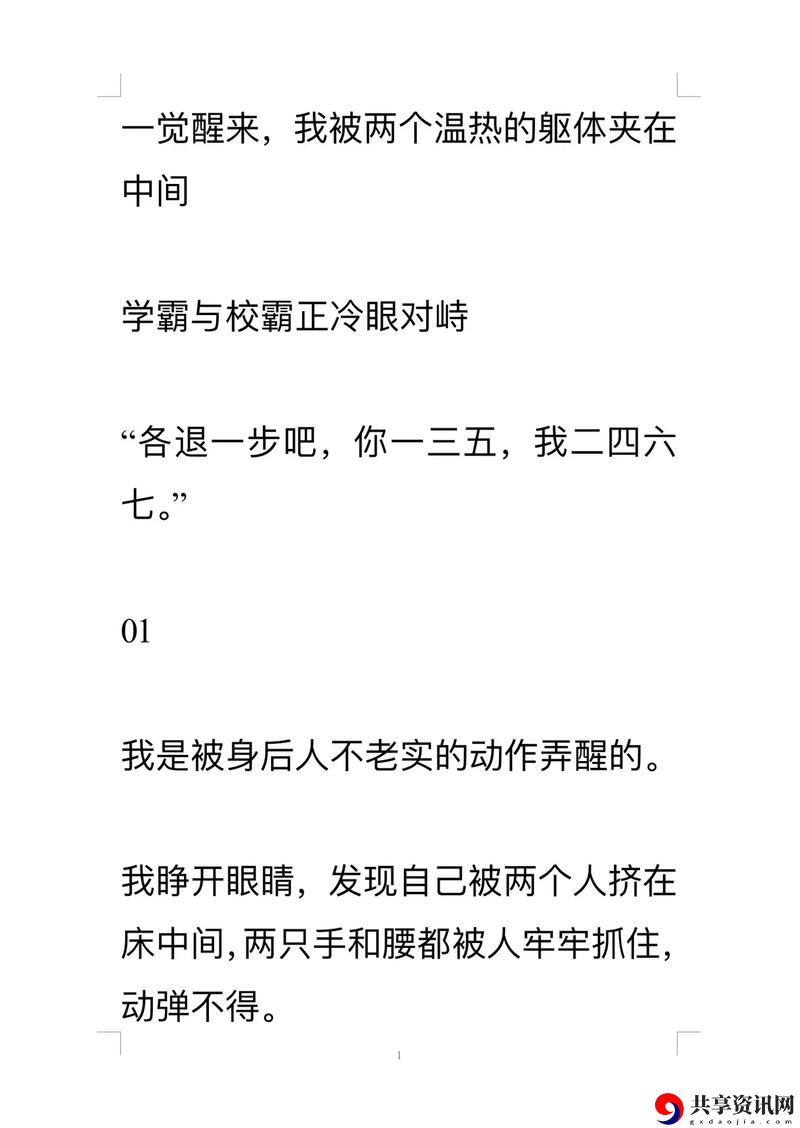 学霸1校霸0双男主高干小说之青春追梦！
