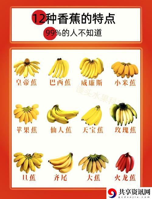 深入探讨91精品综合久久香蕉豆瓣评分的影响力