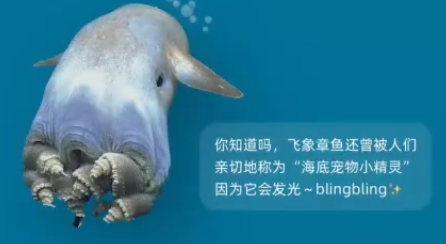 每日一猜6.27答案最新 游戏设置优化全指南