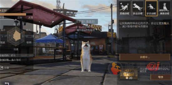 明日之后寻回犬怎么训练 寻回犬训练方式