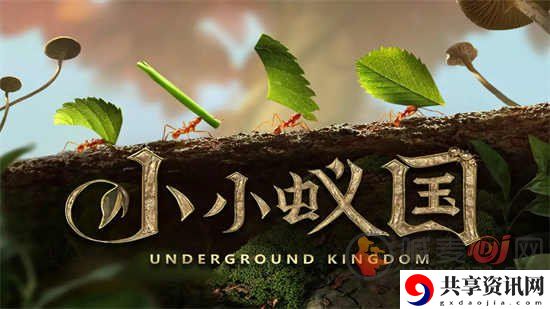 小小蚁国野怪哪个好 野怪介绍