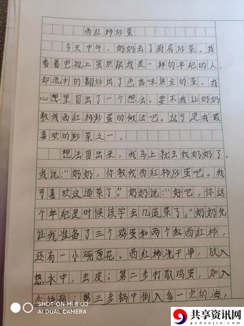 在欣欣玩具店的成长：打工日记450字