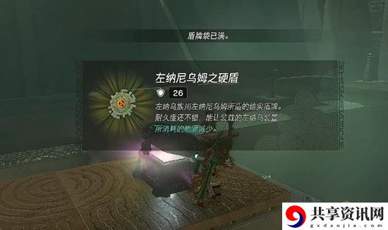 塞尔达传说王国之泪雷恩伊杰神庙通关攻略