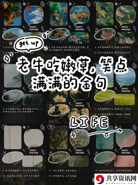 老牛嫩草与老牛嫩草一区二区三区的区别流畅不卡顿，网友：谁才是真正的“青春永驻”？