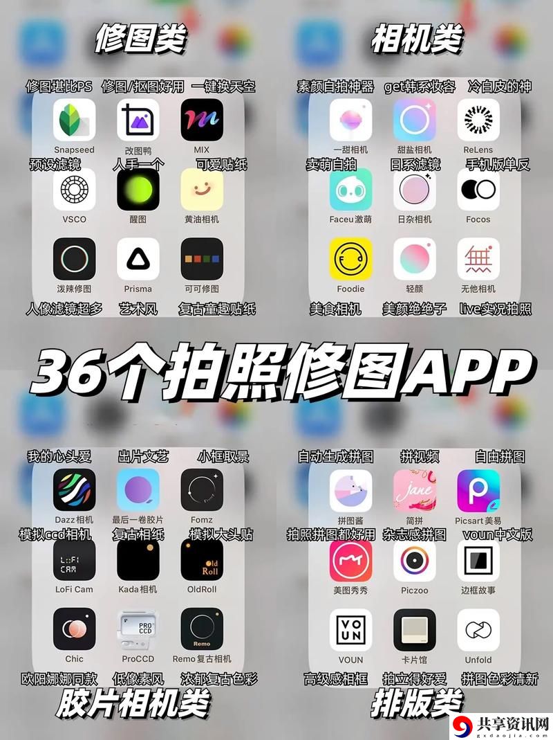  1000部无遮挡拍拍拍免费软件：畅享视觉盛宴的完美选择
