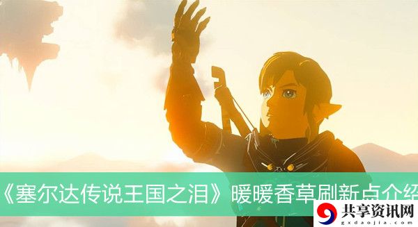 暖暖香草刷新点介绍 地图探险路线规划与未知探索