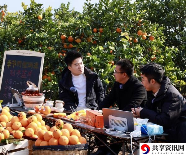  探索桔子直播：新时代的在线互动平台