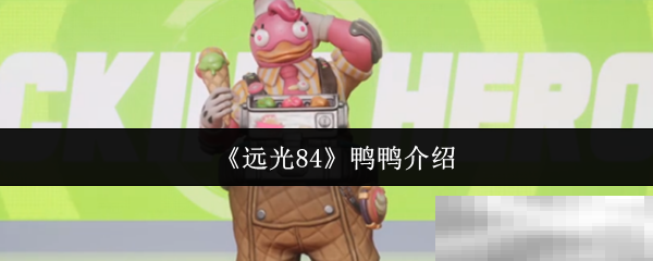 远光84鸭鸭介绍