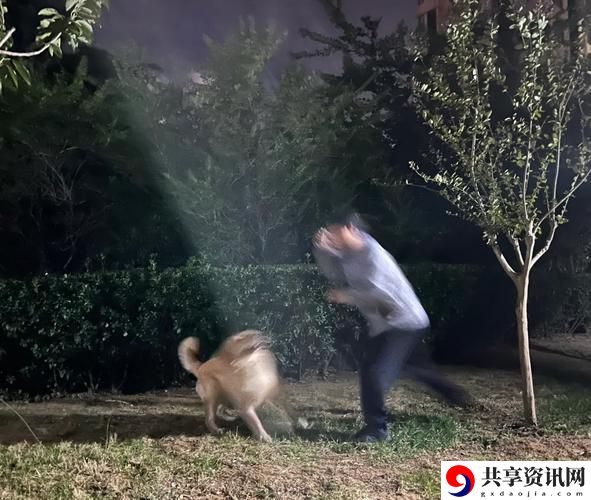 勇闯奇幻世界：人狗大战5免费在线观看完整版诚邀您的观看