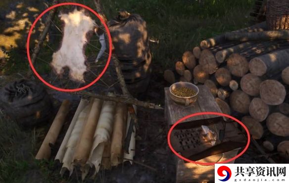 天国拯救2猛禽任务怎么做