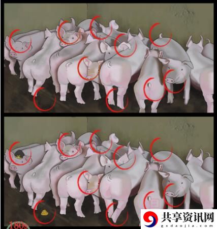 猪圈的猪找出10处不同通关攻略 游戏内元素反应与战斗策略