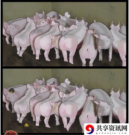 猪圈的猪找出10处不同通关攻略 游戏内元素反应与战斗策略