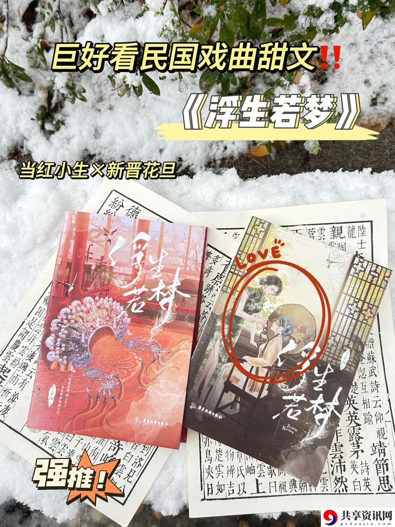 探寻《军妓茉儿浮生梦的小说》的心灵深处