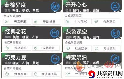 猫之城极品基因公式是什么 最新极品基因公式合成大全