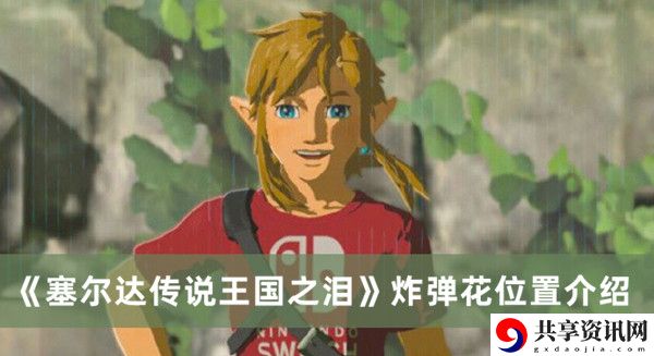 炸弹花位置介绍 战斗意识培养与反应速度