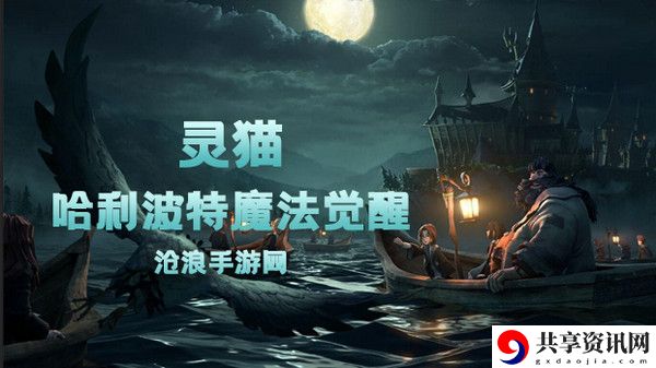 哈利波特魔法觉醒灵猫卡牌介绍：高效刷金币全解析