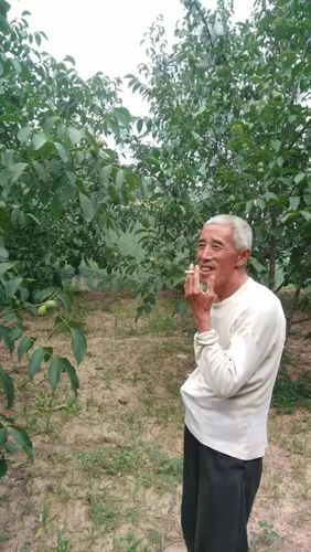 揭秘“国产又大又黄又粗又猛老大爷”的魅力与影响