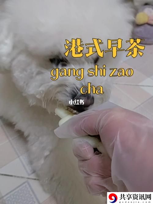 探索“狗与人胶配方20分钟”的奇妙世界