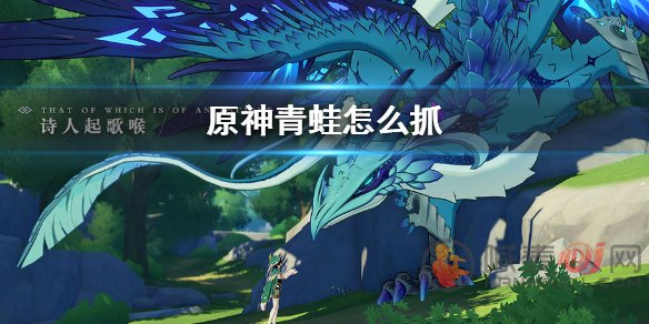 原神2.6版本青蛙怎么抓 原神2.6版本青蛙分布图最新介绍