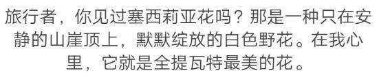 在温迪心中，全提瓦特最美的花是