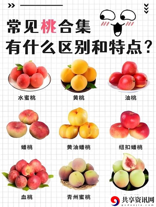 无人一区二区区别是什么红桃7流畅不卡顿，网友：“完全超出我的期待！”