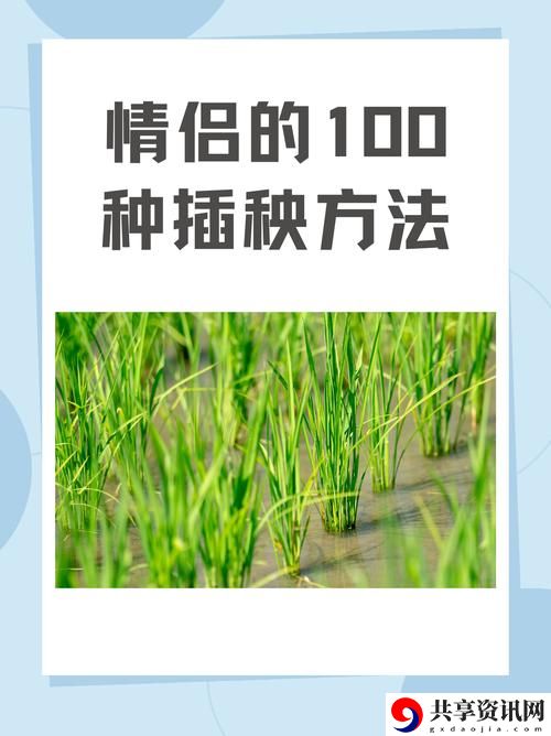 夫妻插秧38种方法图片大全，平台：农村经验分享网