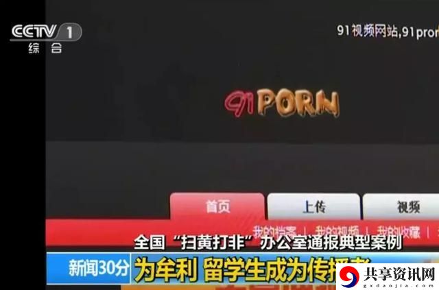 91PORNY，观众：探索成年向内容背后的文化现象