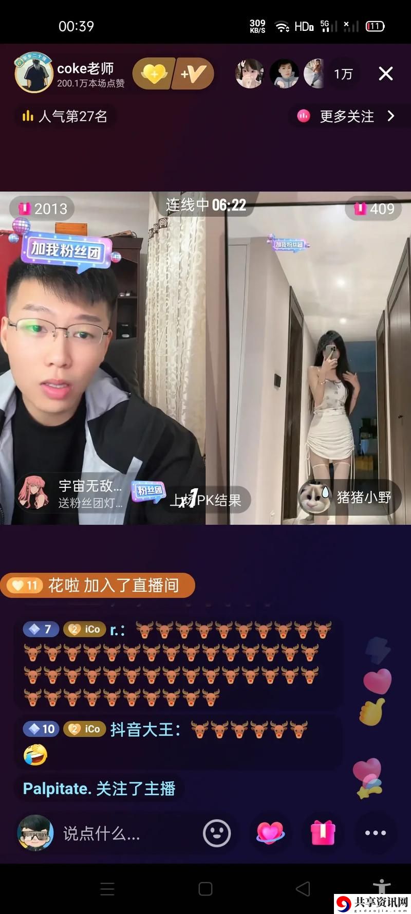 探秘色猫直播：互动与魅力的完美结合