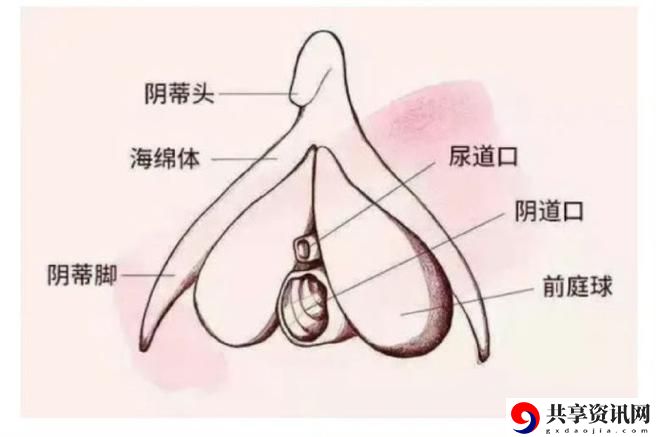 大荫蒂bbbbbb大荫蒂，网友感叹：生活中的小确幸