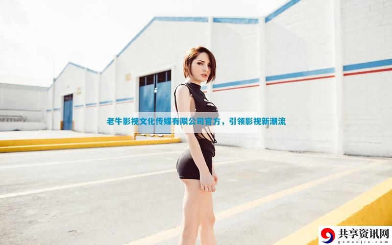 精品老牛文化传媒有限公司，观众：