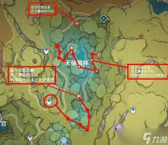 原神树王圣体菇最佳采集路线有哪些