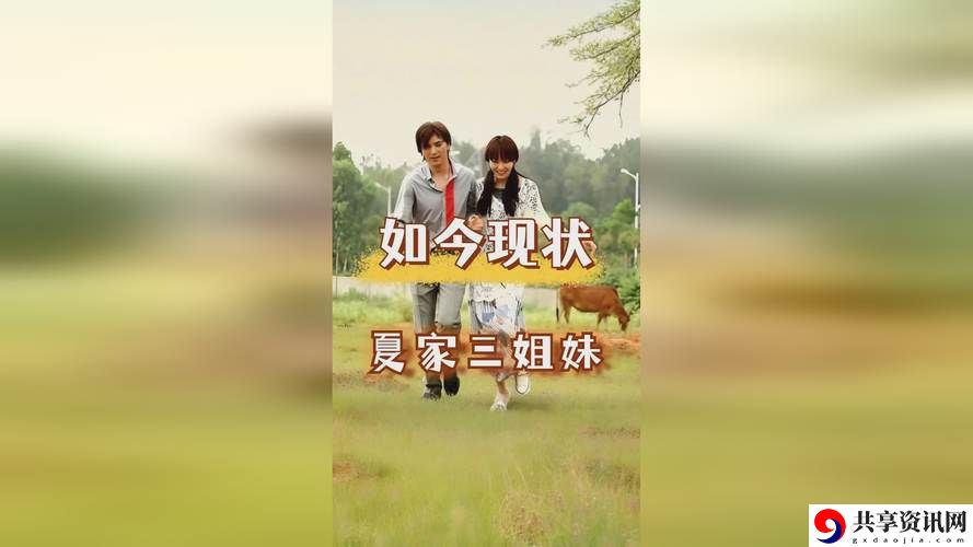 81㊙天美一区二区，网友：新潮流的引领者与挑战者