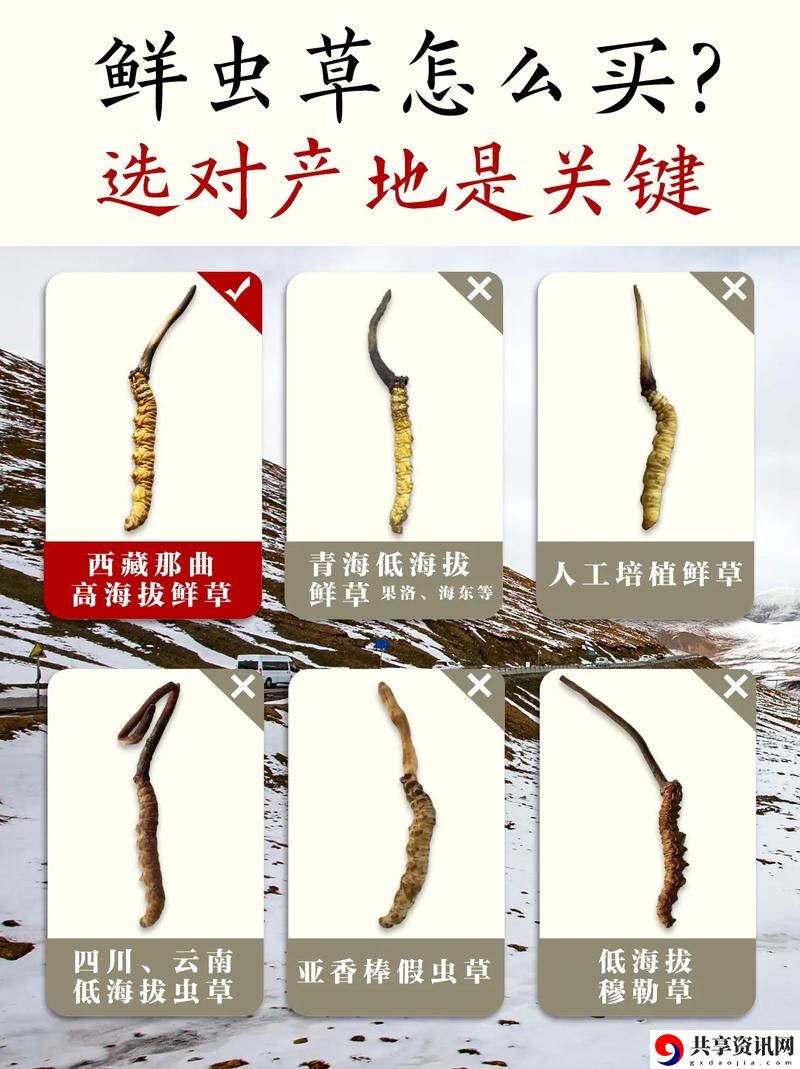 嫩草精产一二三产区上线，网友表示：期待品质提升与生态环保的双重保障