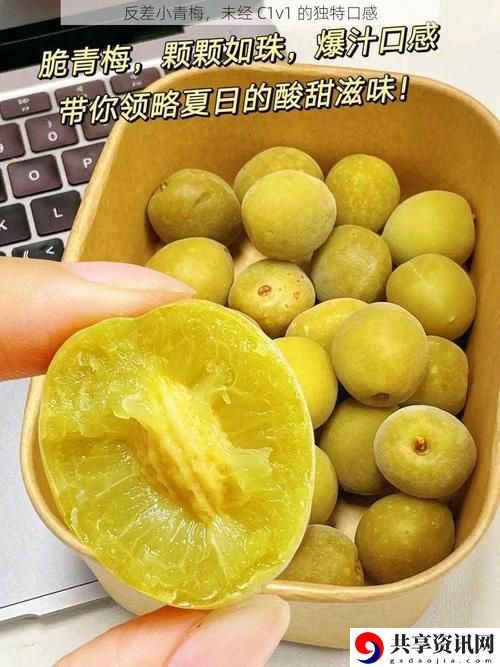 小青梅不经C1v1：探寻青春与成长的故事