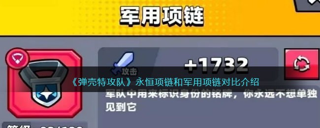 永恒项链和军用项链对比介绍 地图秘密与宝藏位置分享