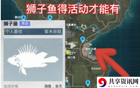 钓鱼大赛每天钓鱼上限数量介绍 战斗胜利最强技巧解析