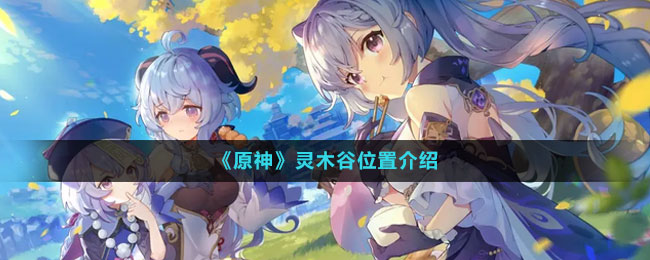 灵木谷位置介绍 角色能力提升全解