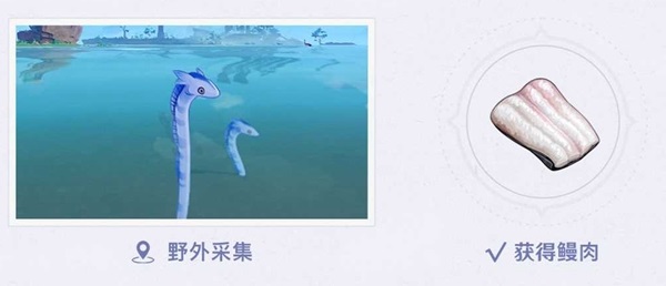 原神赤鳍陆鳗鳗刷新位置介绍：神秘商店物品分析