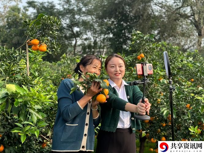橘子直播上线，网友热议：新平台引发互动热潮