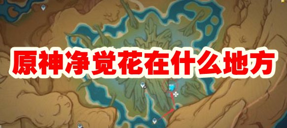 净觉花在什么地方 神秘商店购买建议