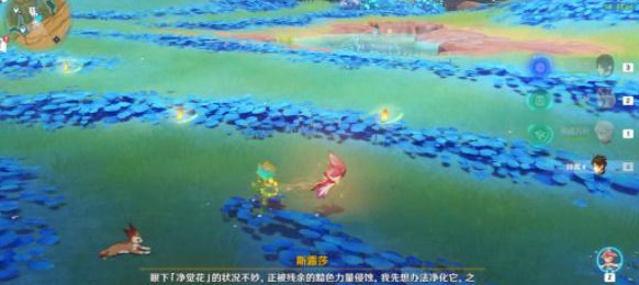 净觉花在什么地方 神秘商店购买建议