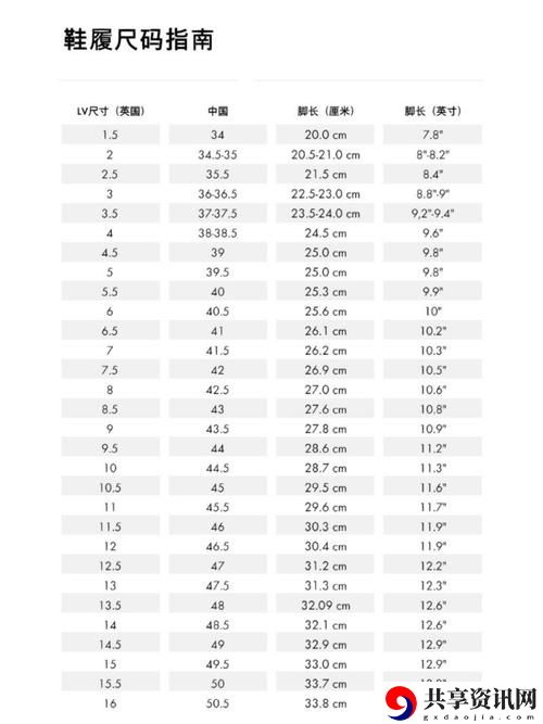  探索欧洲尺码与日本尺码的正康专线之旅