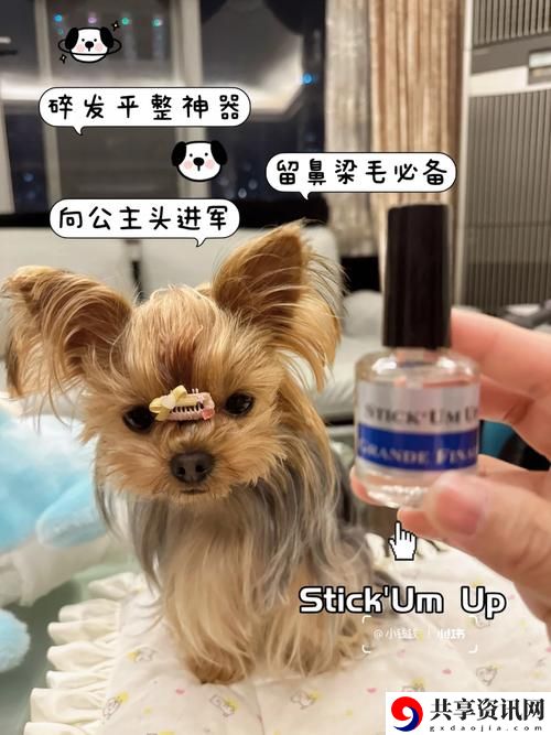 美国人与动物胶配方有几种