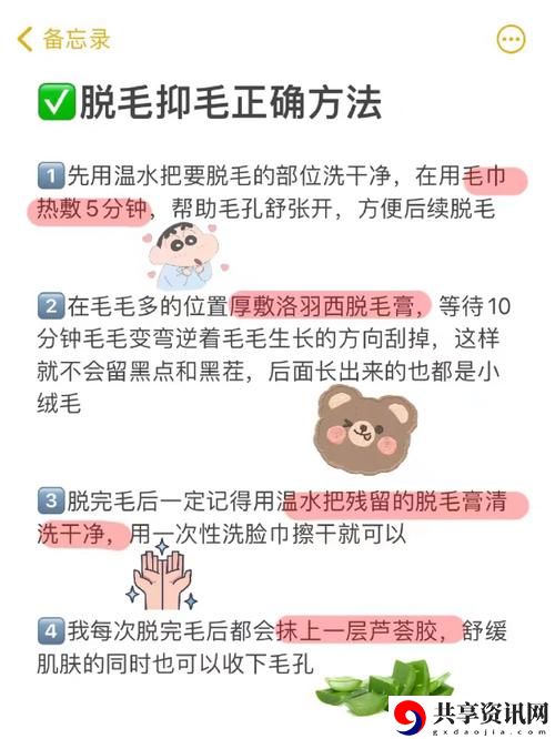 探寻“四川BBBBB毛毛多”的魅力与独特之处