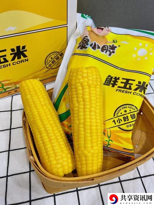  探索及时行乐NHP玉米的魅力与价值